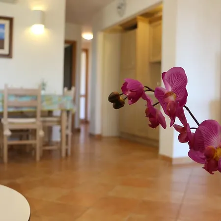 Baja Sardinia Home